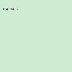CCEDD2 - Tea Green color image preview
