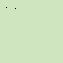CFE5C0 - Tea Green color image preview