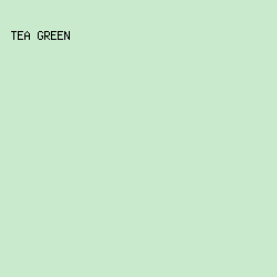 c9eacd - Tea Green color image preview