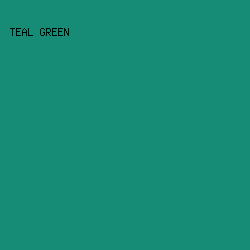 168C76 - Teal Green color image preview