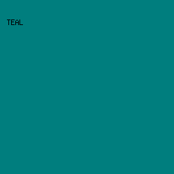 007E7E - Teal color image preview