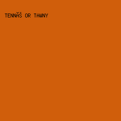 D05E0B - Tenné or Tawny color image preview