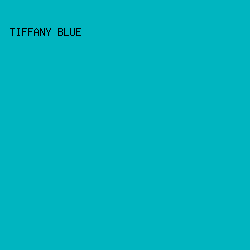 00B5C0 - Tiffany Blue color image preview