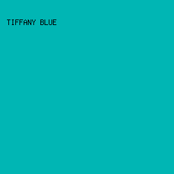 00B6B4 - Tiffany Blue color image preview