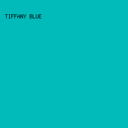 00BBBA - Tiffany Blue color image preview