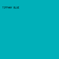 00b0b9 - Tiffany Blue color image preview