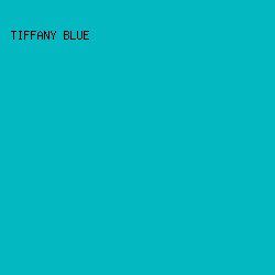 04B8C1 - Tiffany Blue color image preview