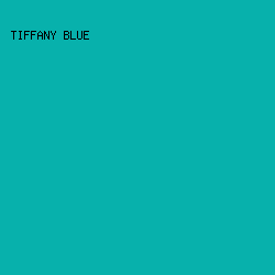 07B1AC - Tiffany Blue color image preview