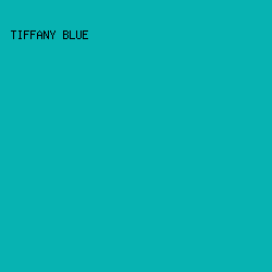 07B3B2 - Tiffany Blue color image preview