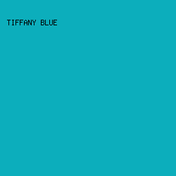 0CAEBC - Tiffany Blue color image preview