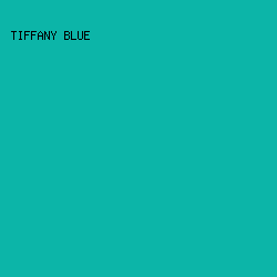 0cb5a8 - Tiffany Blue color image preview