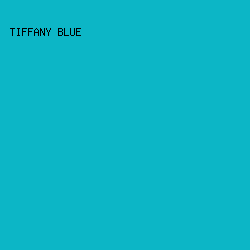 0cb6c6 - Tiffany Blue color image preview