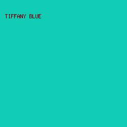 10CCB4 - Tiffany Blue color image preview