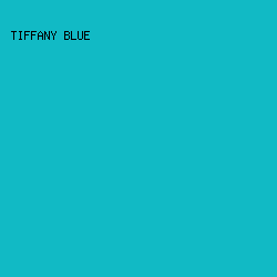 11bac5 - Tiffany Blue color image preview