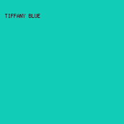 11ccb6 - Tiffany Blue color image preview