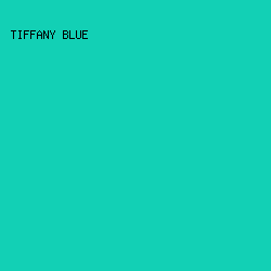 12D0B5 - Tiffany Blue color image preview