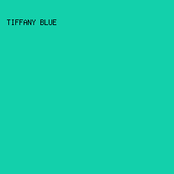 13d0ab - Tiffany Blue color image preview