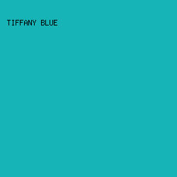 16b4b7 - Tiffany Blue color image preview