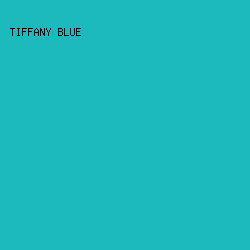 1CBABC - Tiffany Blue color image preview