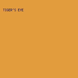 E39C3D - Tiger's Eye color image preview