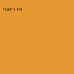 E49A31 - Tiger's Eye color image preview