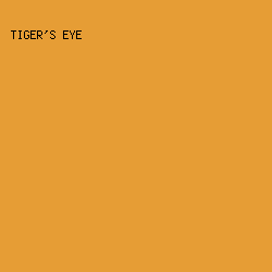 E69D35 - Tiger's Eye color image preview