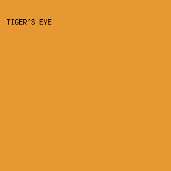 E79833 - Tiger's Eye color image preview