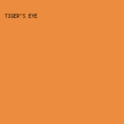 ec8c3f - Tiger's Eye color image preview