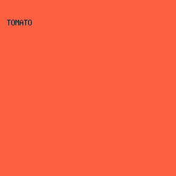 FD6041 - Tomato color image preview
