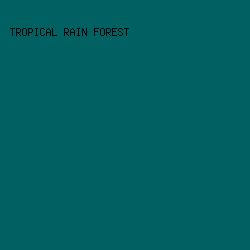 006062 - Tropical Rain Forest color image preview