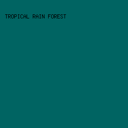 006462 - Tropical Rain Forest color image preview