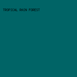 006466 - Tropical Rain Forest color image preview