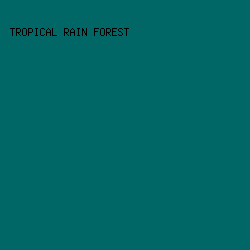 006666 - Tropical Rain Forest color image preview