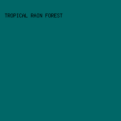 006767 - Tropical Rain Forest color image preview