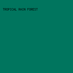 00755E - Tropical Rain Forest color image preview