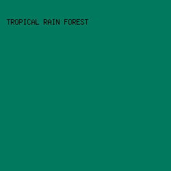 00795e - Tropical Rain Forest color image preview