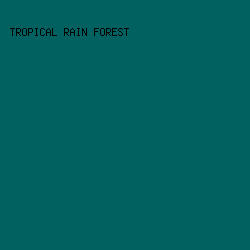 016160 - Tropical Rain Forest color image preview