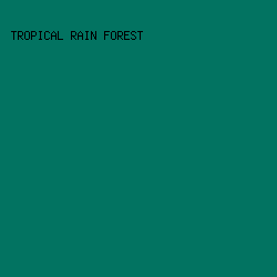 027361 - Tropical Rain Forest color image preview