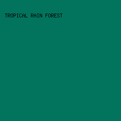 02745e - Tropical Rain Forest color image preview