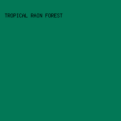 027856 - Tropical Rain Forest color image preview