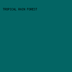 036564 - Tropical Rain Forest color image preview