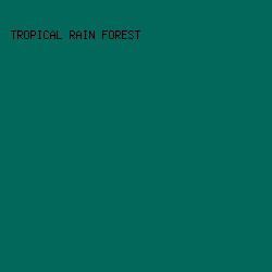 03685c - Tropical Rain Forest color image preview
