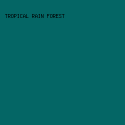 046665 - Tropical Rain Forest color image preview