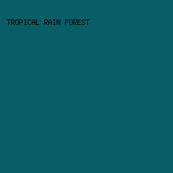 095d66 - Tropical Rain Forest color image preview