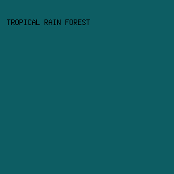 0D5D63 - Tropical Rain Forest color image preview