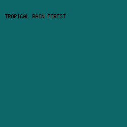 0D6667 - Tropical Rain Forest color image preview