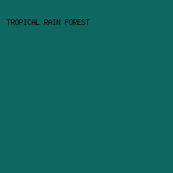 0E6861 - Tropical Rain Forest color image preview