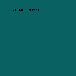 0a6162 - Tropical Rain Forest color image preview