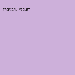 CDB0DA - Tropical Violet color image preview