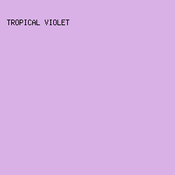 D9B1E6 - Tropical Violet color image preview